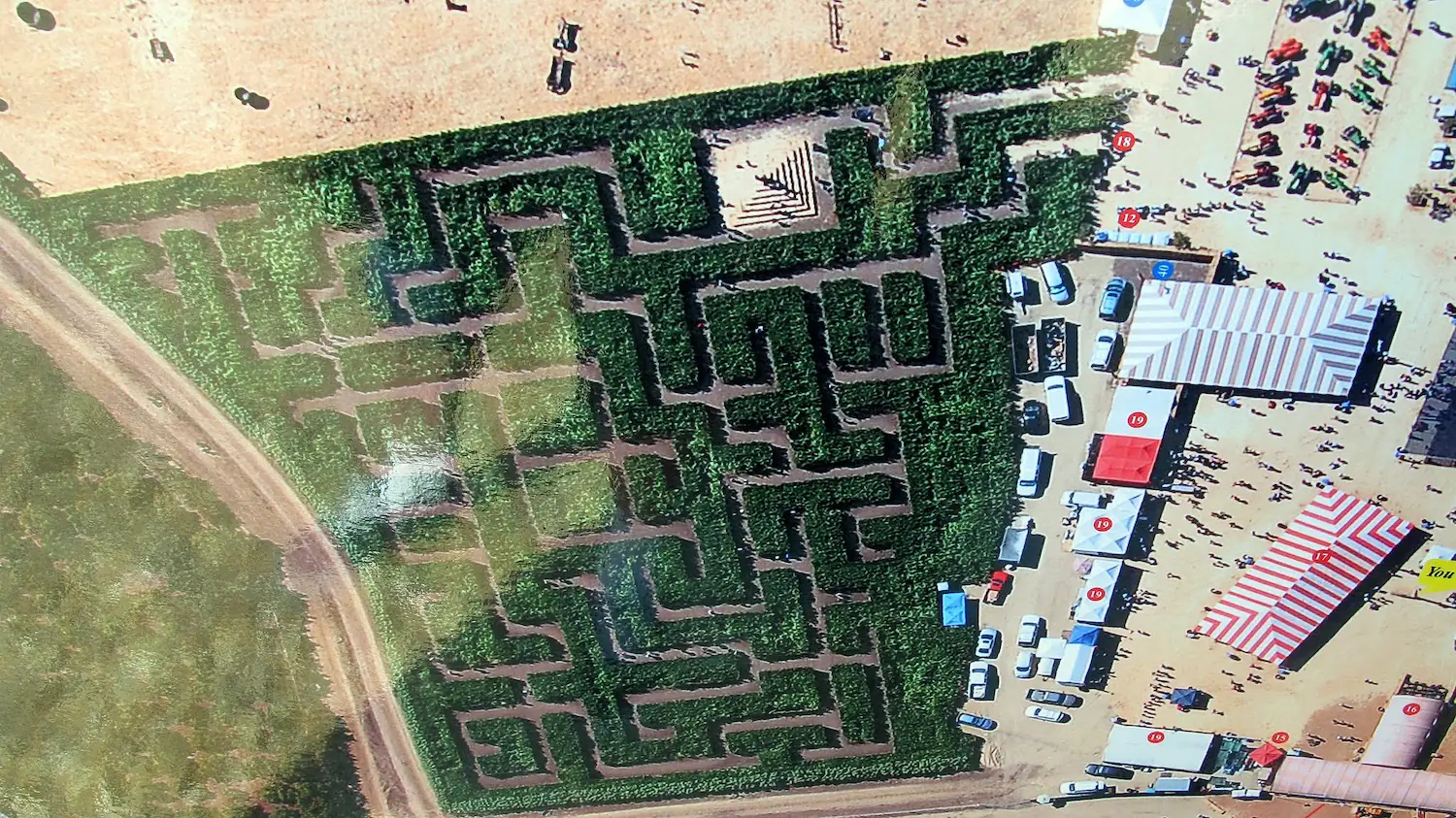 the employment law maze